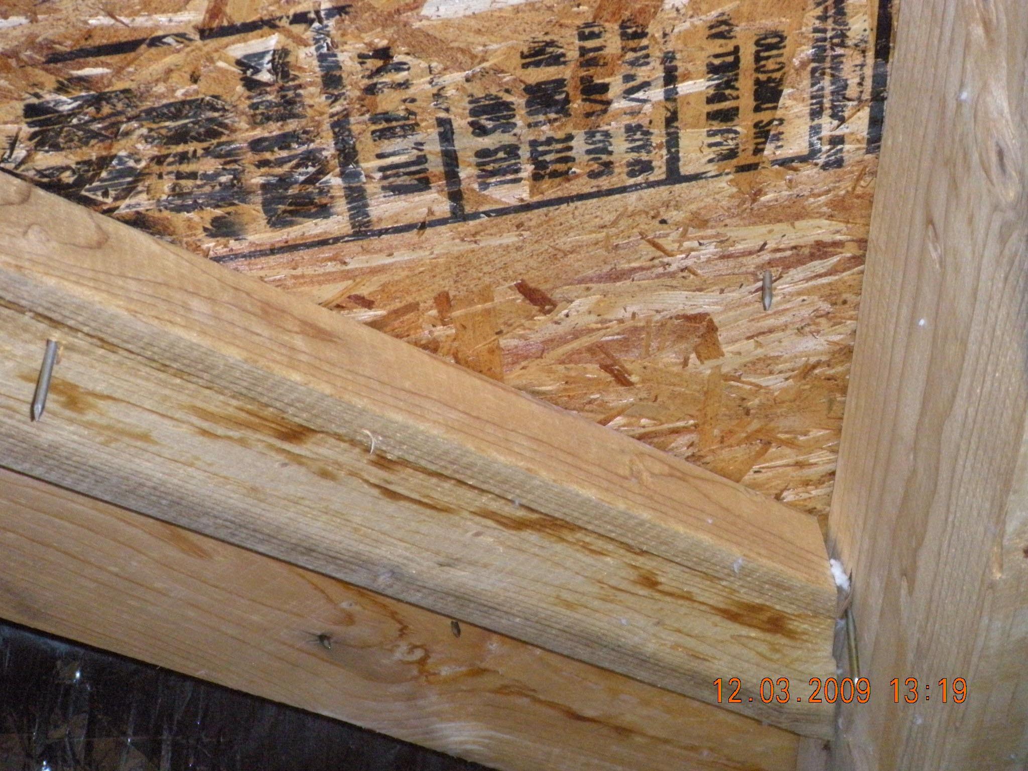 Hardesty bathroom inspection photo 39